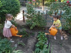 img (2)